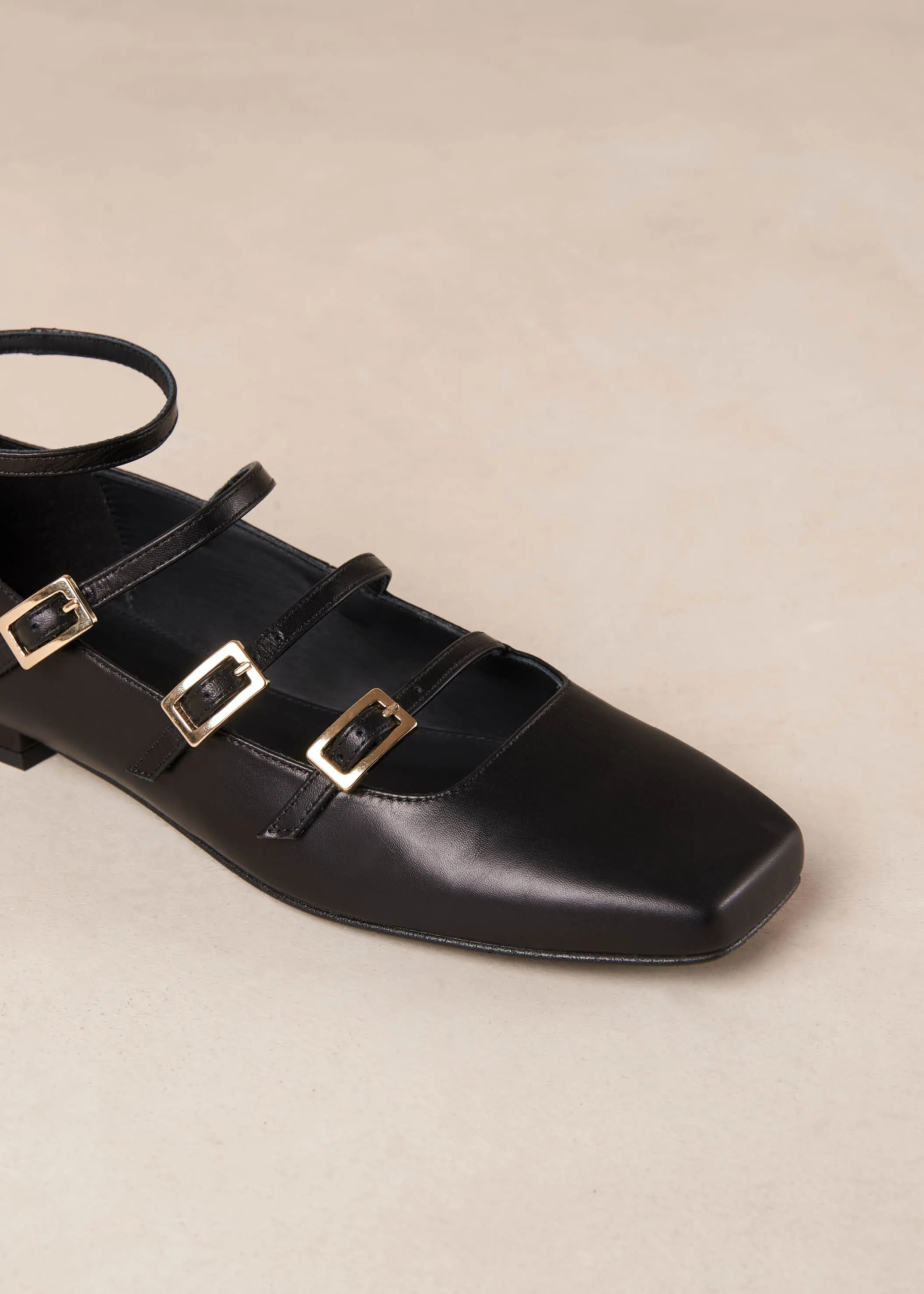Luke Black Leather Ballet Flats